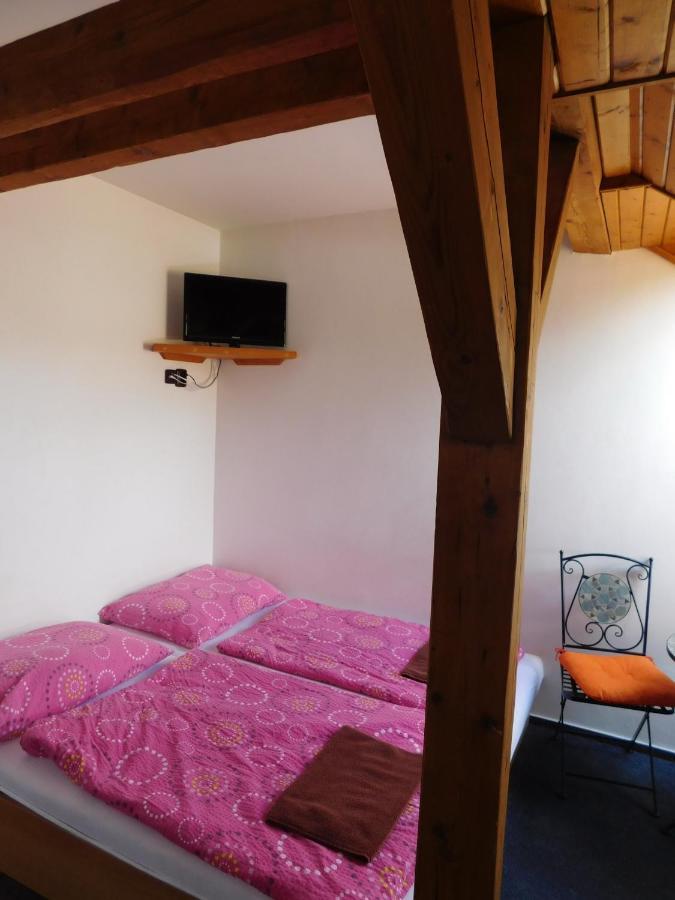Pension U Mojmíra Rokytnice nad Jizerou Exterior foto